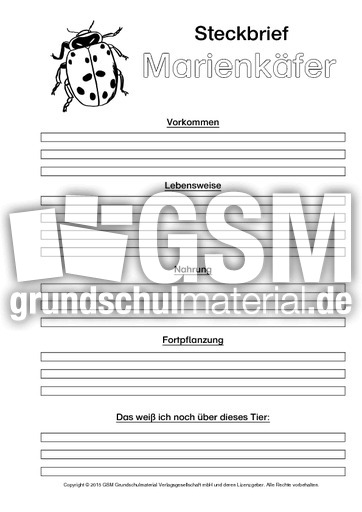 Marienkäfer-Steckbriefvorlage-sw-1.pdf